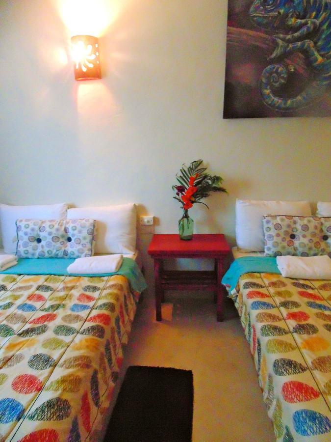 Art Hotel 图卢姆 外观 照片